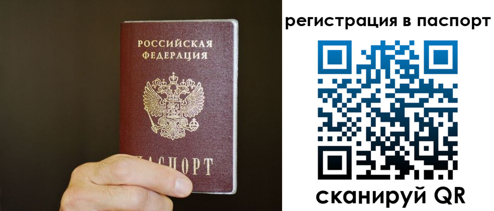 временная регистрация законно в Химках